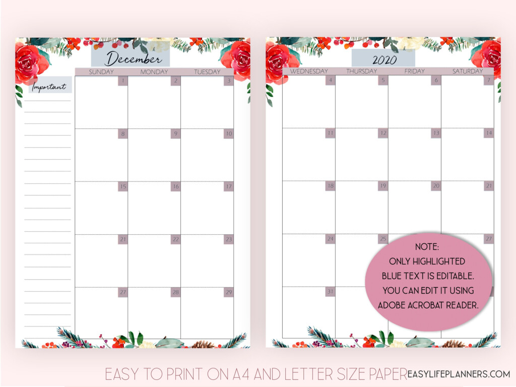2021 Monthly Planner Editable Planner Monthly Layout 