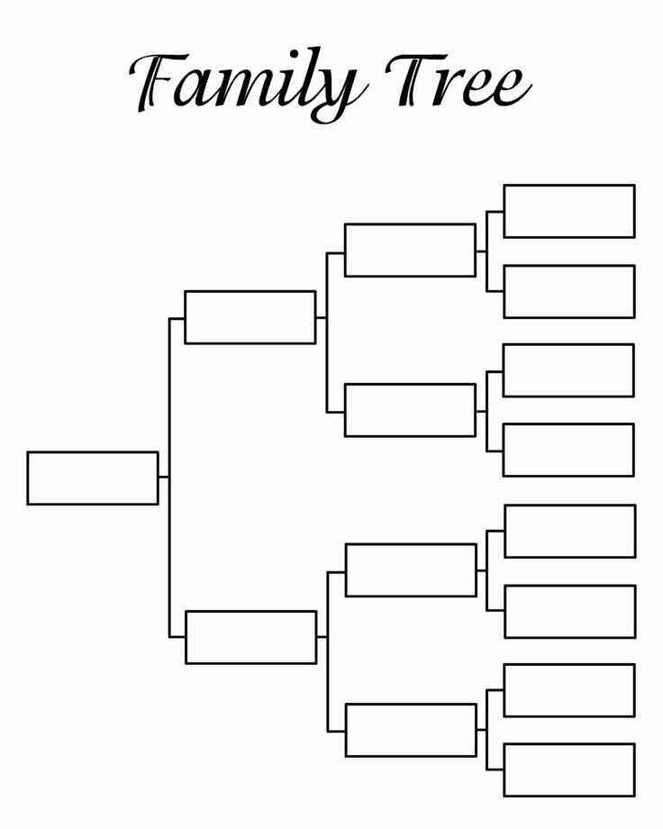 4 Generation Pedigree Chart Lovely Blank Family Tree