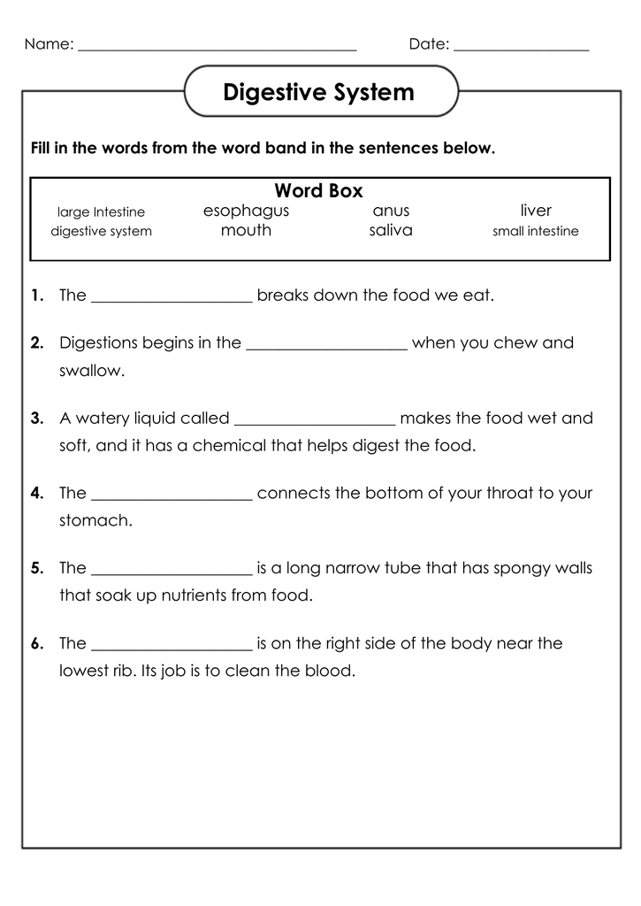 4th Grade Science Worksheets Best Coloring Pages For Kids