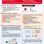 Anaphylaxis Poster First Aid By Dfsdf224s