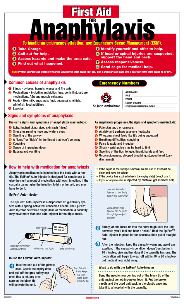 Anaphylaxis Poster First Aid By Dfsdf224s 