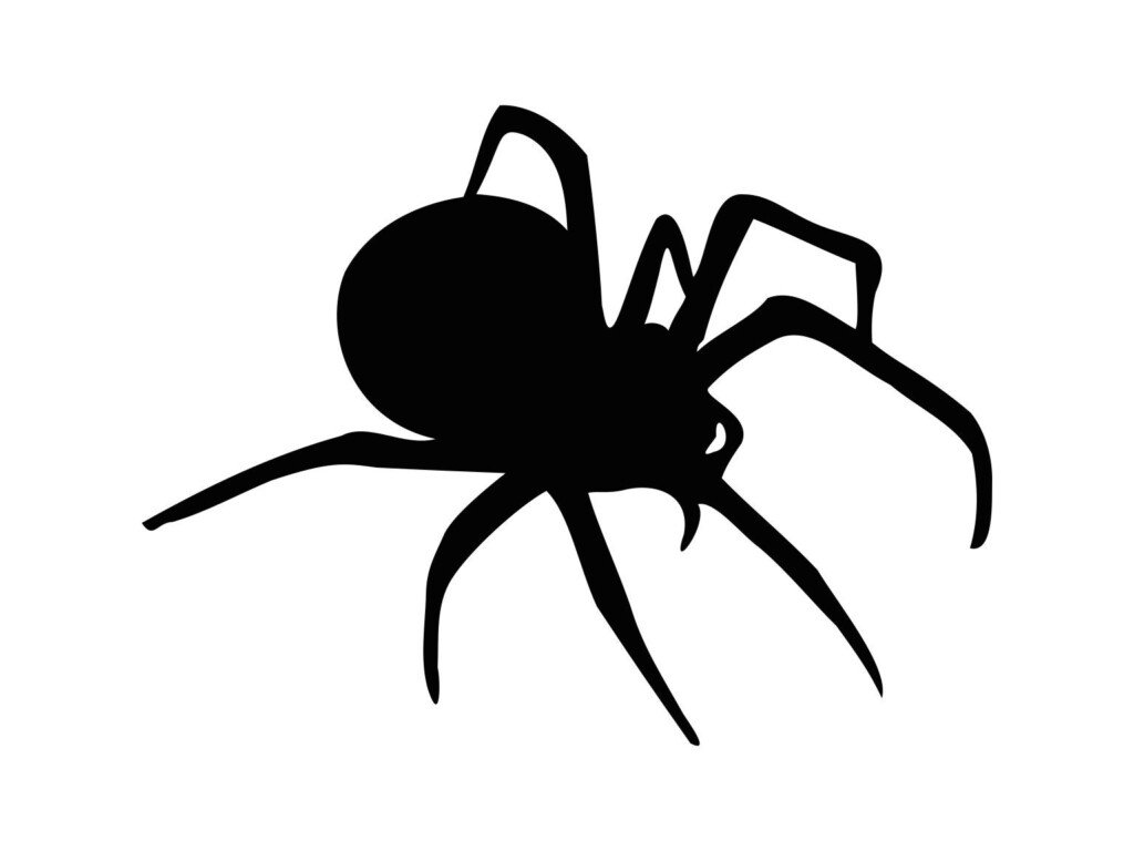 Black Spider Svg Cut File Printable Spider Svg Halloween 