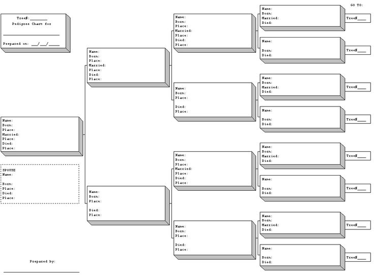 Blank Pedigree Forms Family Tree Printable Family Tree 