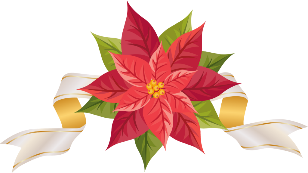 Christmas Poinsettia Wallpapers Wallpaper Cave