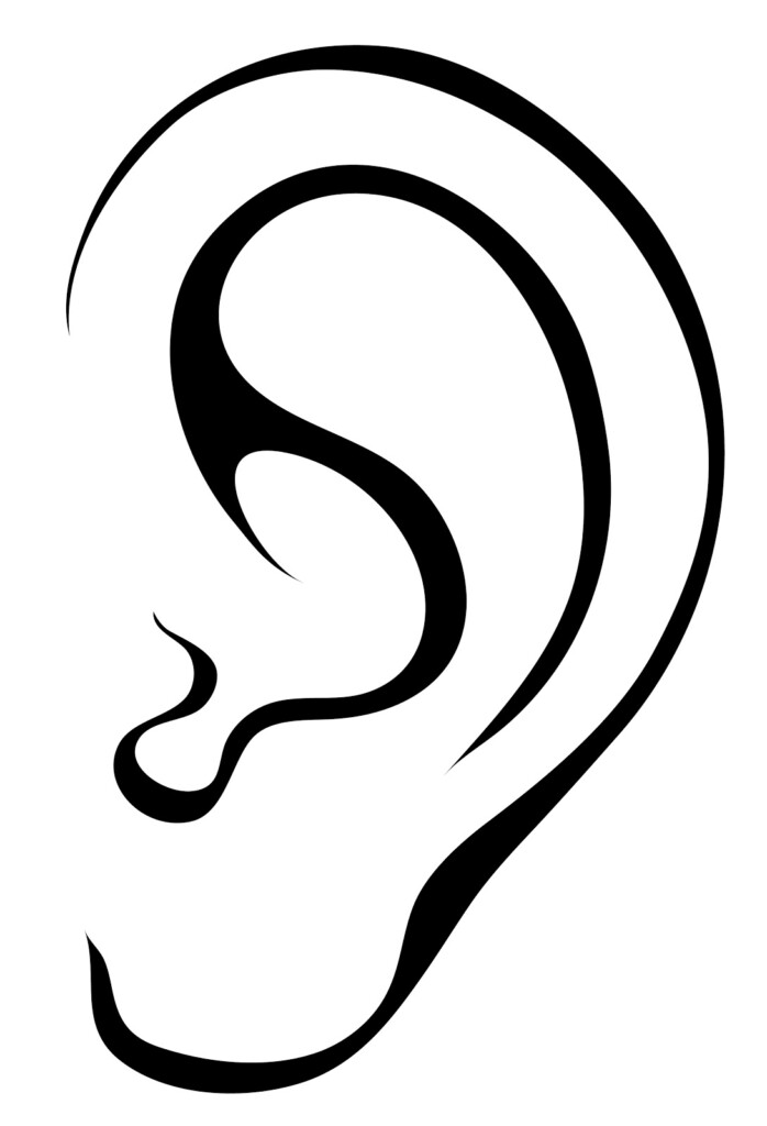 Clip Art Ear ClipArt Best