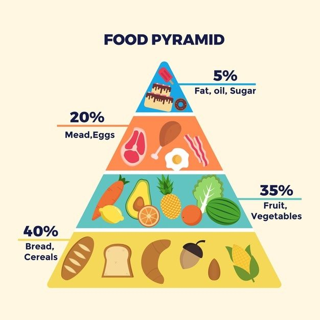 Download Food Pyramid Template Theme For Free In 2020 
