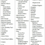 Fast Metabolism Diet Phase 1 List Of Allowed Foods