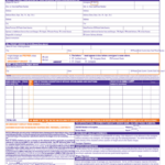 Fillable Form Co202 616 Fx Fedex Uniform Straight Bill