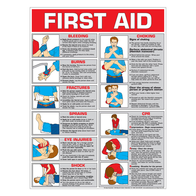 First Aid Chart Color Laminated 