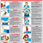 First Aid Poster 18 X 24 Laminated FA6B By Algra