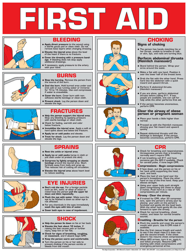 First Aid Poster 18 X 24 Laminated FA6B By Algra 