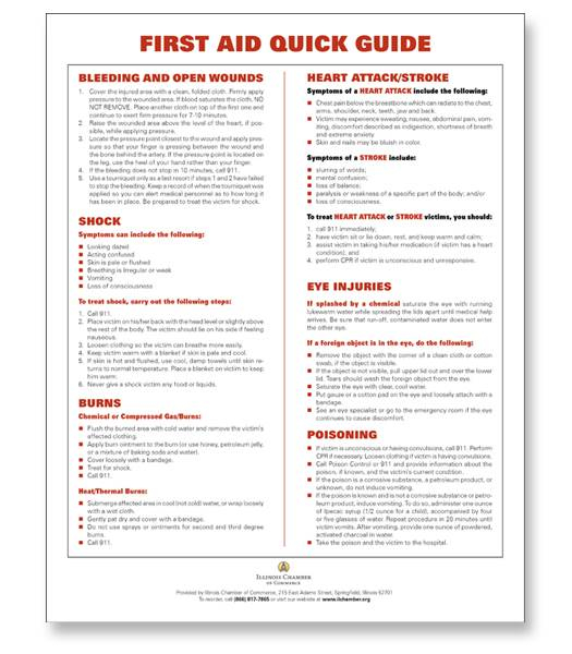 First Aid Quick Guide The Y Guide