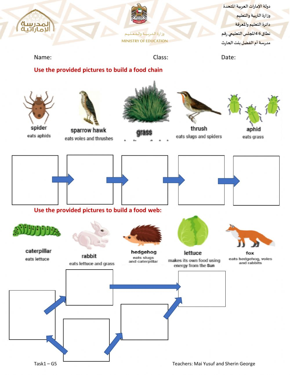 Food Chain And Food Web Task1 Worksheet