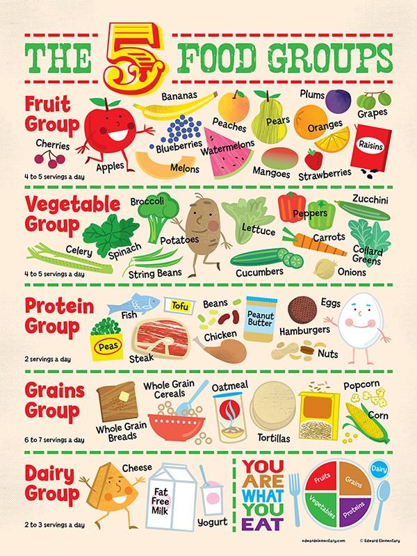 Food Groups Poster On Behance Group Meals Food Groups 