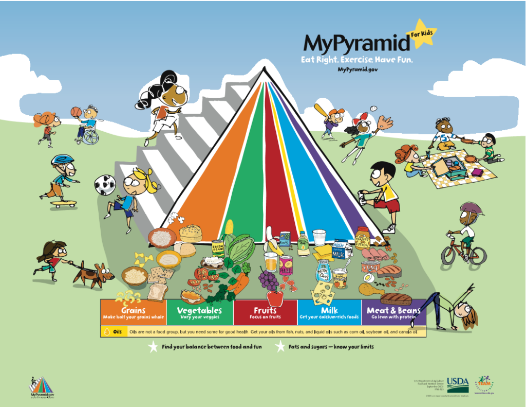 Food Pyramid 2020 Basics Money s Influence On USDA 