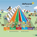 Food Pyramid 2020 Basics Money s Influence On USDA