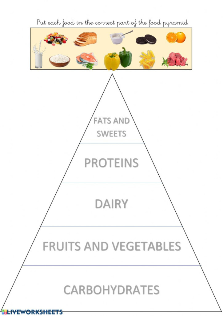 Food Pyramid Activity