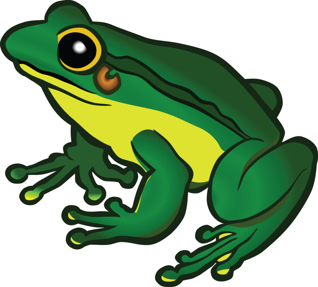 Free Clipart Of A Frog