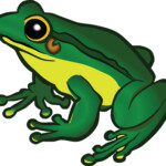 Free Clipart Of A Frog