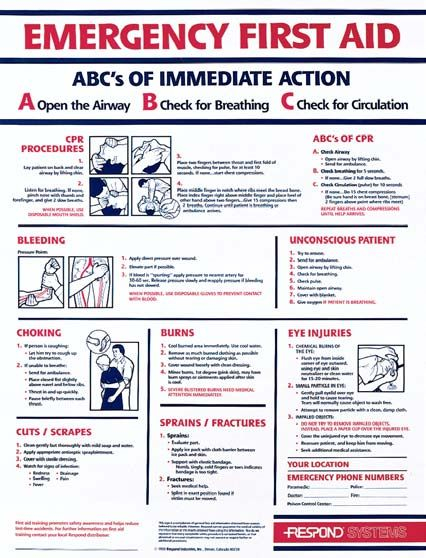 free-basic-first-aid-pocket-guide-printable-red-cross