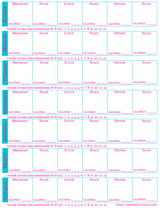 Free Printable Food Journal With Calorie Counter And Water 