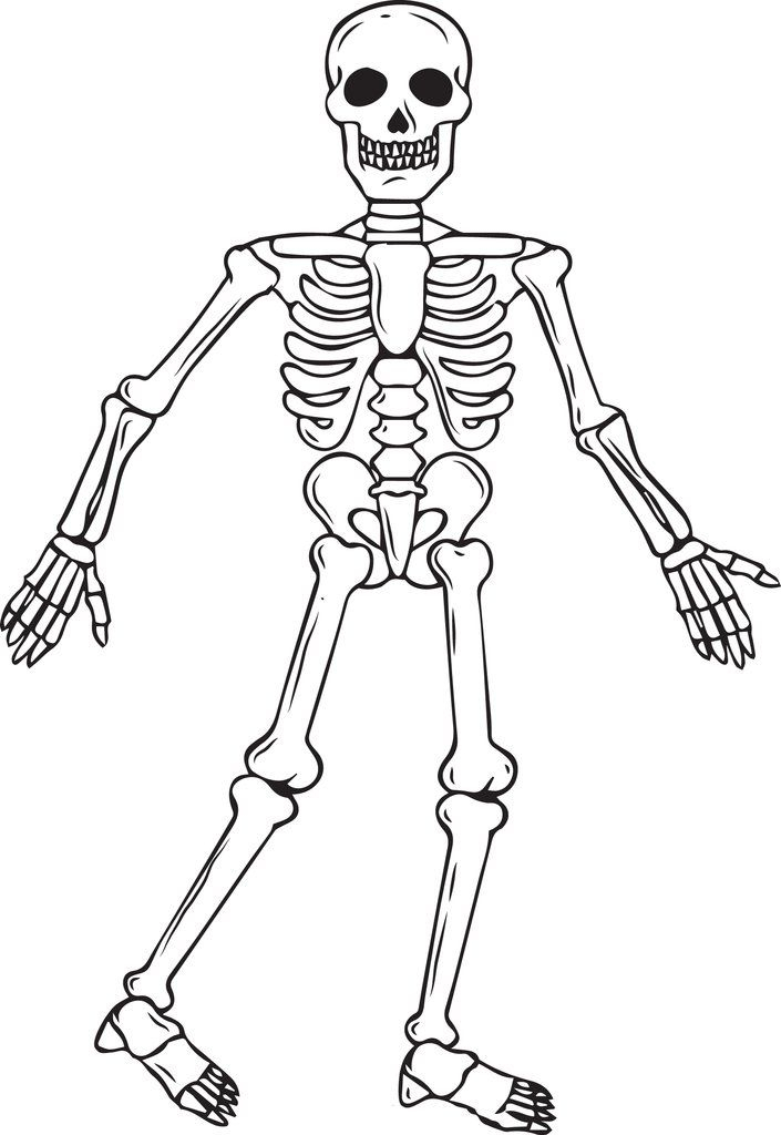 FREE Printable Skeleton Coloring Page For Kids Free