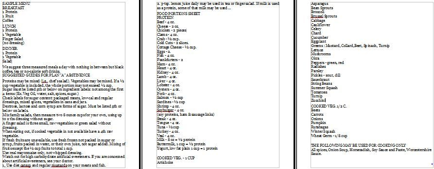 GREYSHEET FOOD PLAN PDF