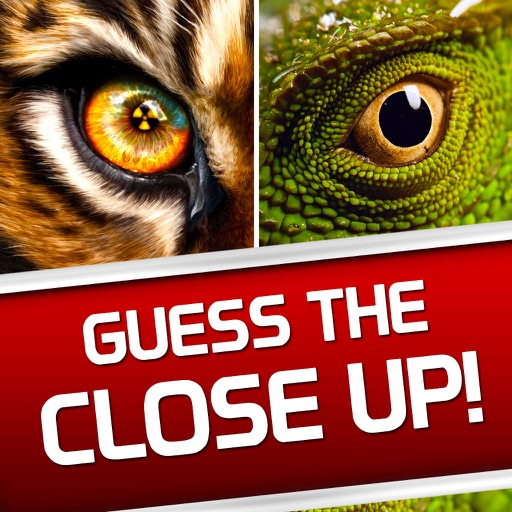 Guess The Close Up Photo Trivia Quiz Word Game By ARE 