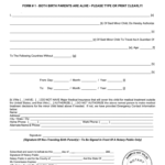 Minor Child Consent To Travel Form Fill Out And Sign