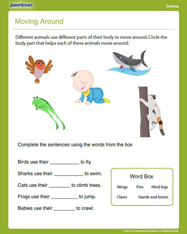 Moving Around View Free First Grade Science Worksheet 
