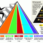 New Food Pyramid Coming June 2 USDA Says KDT Optometry