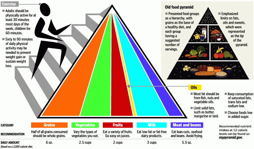 New Food Pyramid Coming June 2 USDA Says KDT Optometry 