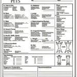 Pet Exam Form Vet Medicine Pet Clinic Veterinary