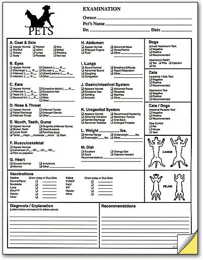 Pet Exam Form Vet Medicine Pet Clinic Veterinary 