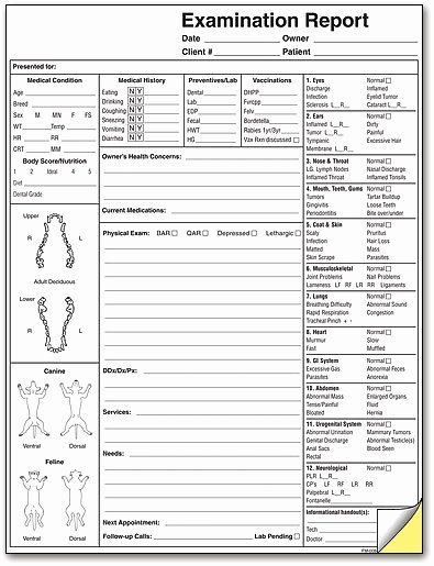 Physical Examination Forms Template Inspirational 