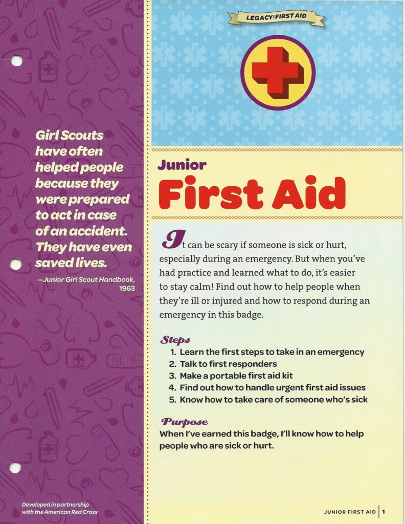Pin By Michelle Maffei On Girl Scouts Junior Girl Scouts 