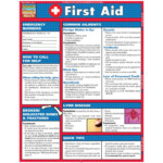 Printable Basic First Aid Guide First Aid Tips First