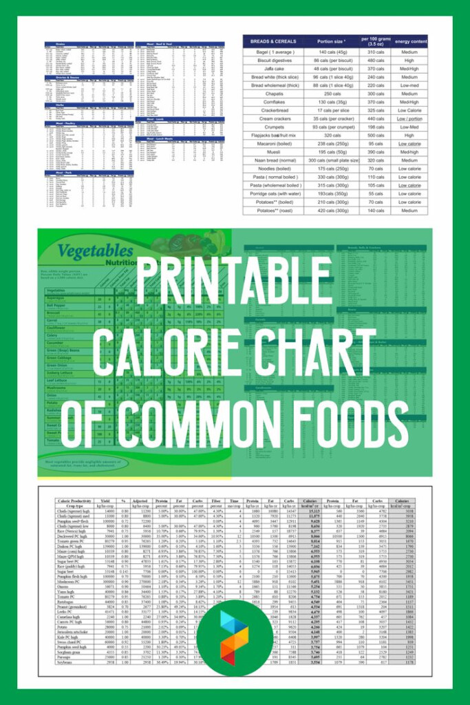 Printable Calorie Chart Of Common Foods Calorie Chart 