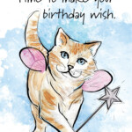 Product Cat Birthday Card Happy Birthday Cat Cat
