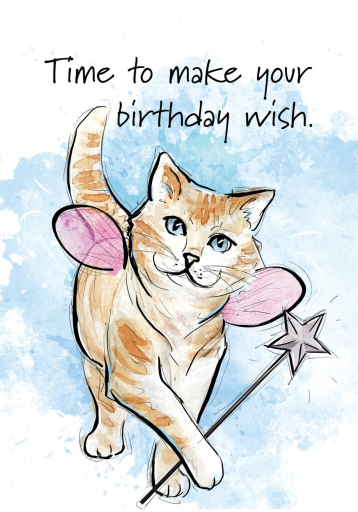Product Cat Birthday Card Happy Birthday Cat Cat 