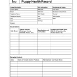 Puppy Health Record Printable Template Business PSD