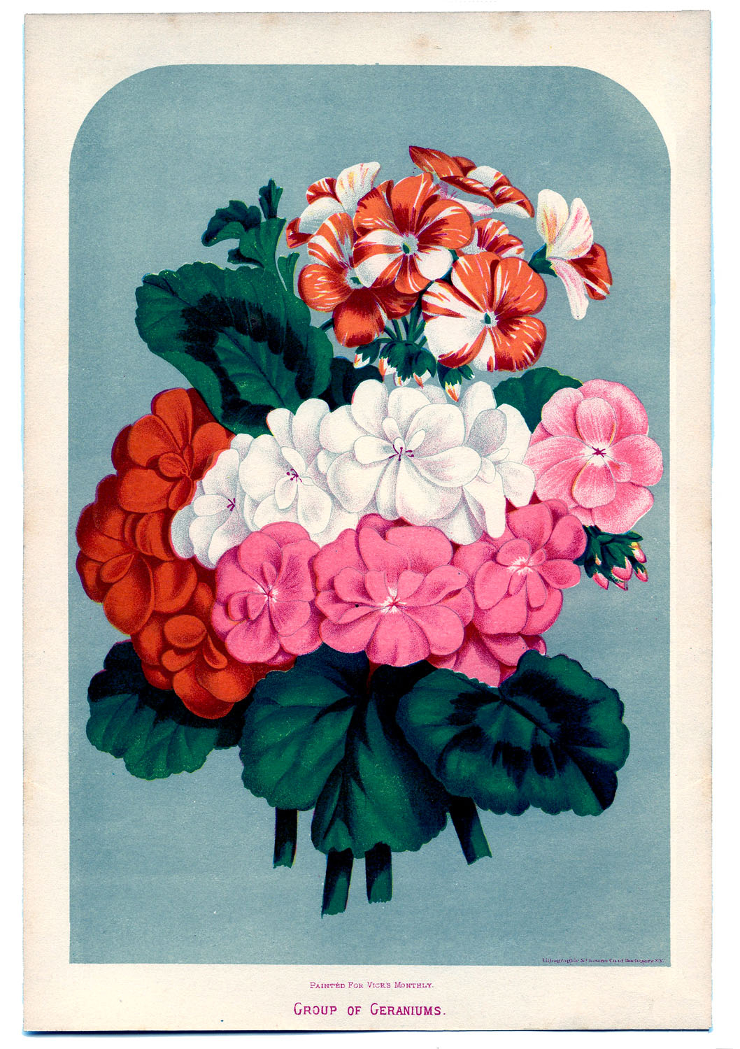 Remodelaholic 25 Free Printable Vintage Floral Images