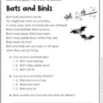 Third Grade 3rd Grade Reading Comprehension Worksheets