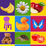 Toddlers My Baby First Words Flash Cards Free By Bhaumik