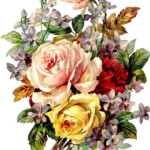 Vintage Roses Print Flower Drawing Vintage Flowers