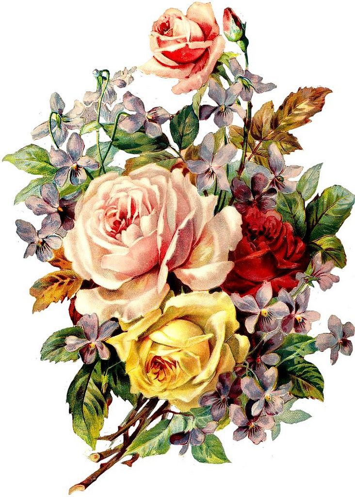 Vintage Roses Print Flower Drawing Vintage Flowers 