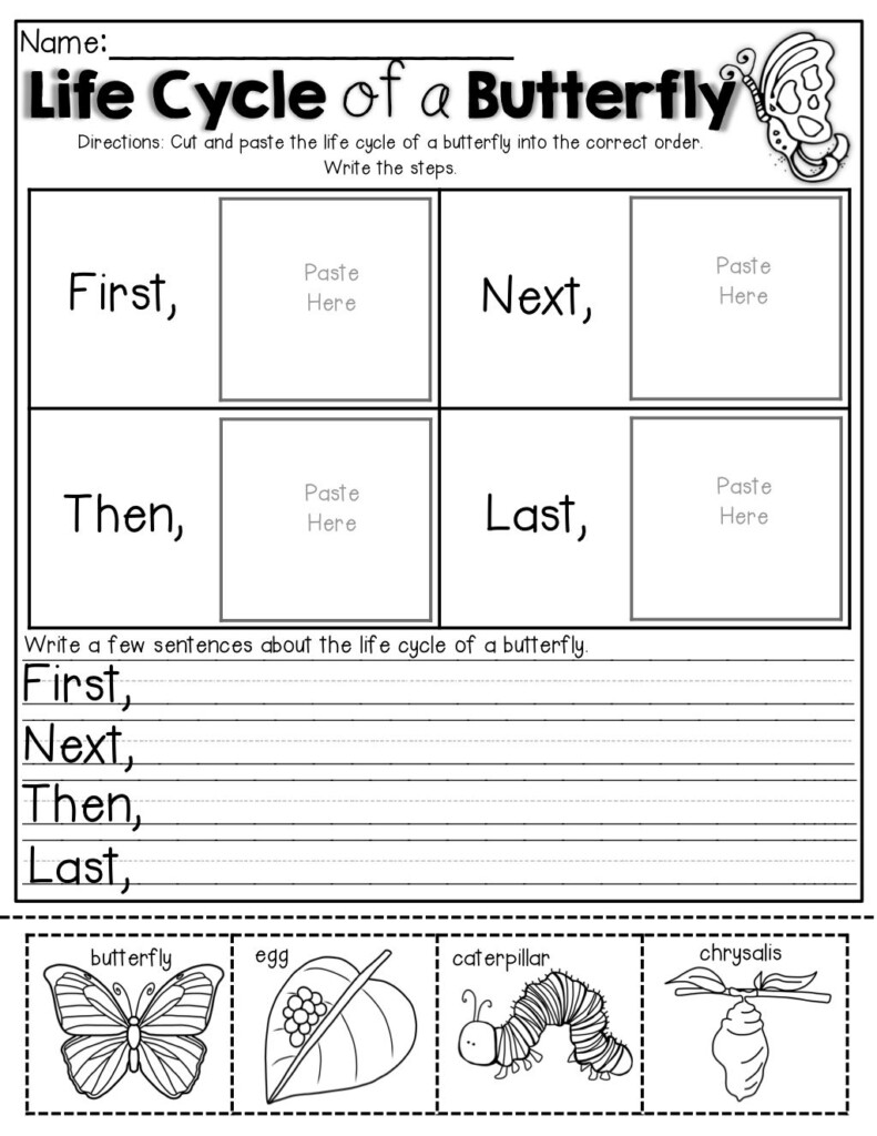 1st Grade Science Worksheets Worksheet For Kids