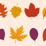 6 Best Printable Autumn Leaves Decor Printablee