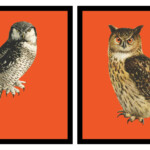 7 Best Free Printable Vintage Halloween Owl Printablee