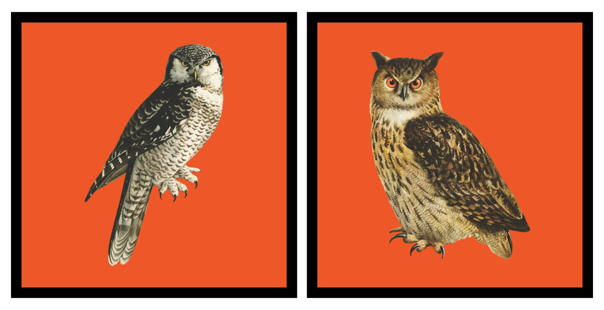 7 Best Free Printable Vintage Halloween Owl Printablee